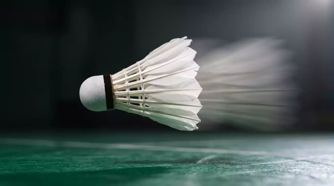 Echtzeit-Quotenanalyse auf einem Bildschirm während eines Badminton-Matches